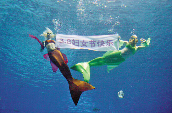 房控系統(tǒng) 房控系統(tǒng)