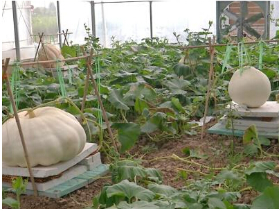 客房控制系統(tǒng)